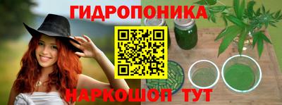 PSILOCYBIN Будённовск