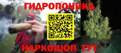 PSILOCYBIN Будённовск
