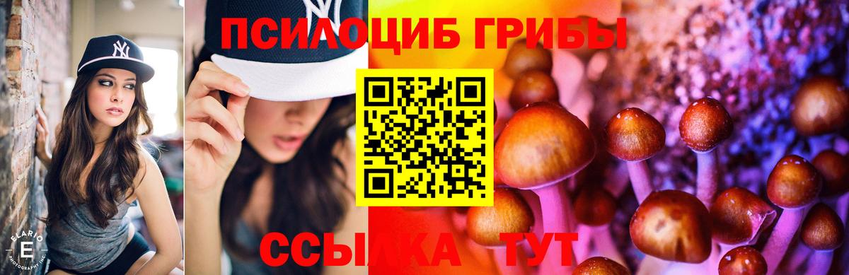 Искитим  Галлюциногенные грибы Psilocybe  Вход с VPN 
